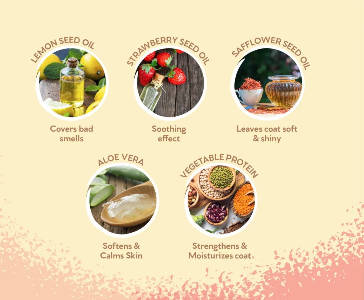 Pet Head Sampon Feelin' Good 300 ml