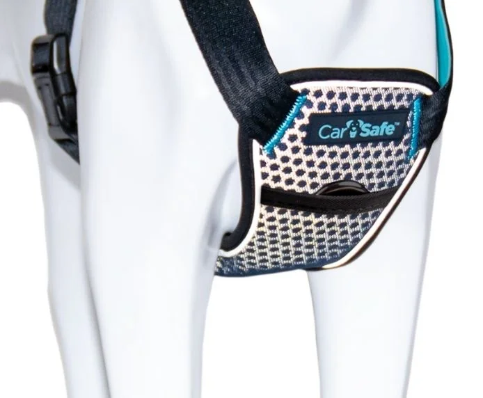 Coa Ham Caine Carsafe Crash Tested Blue L