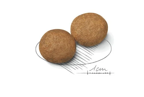 Royal Canin Maxi Adult 15 kg + 3 kg Gratis