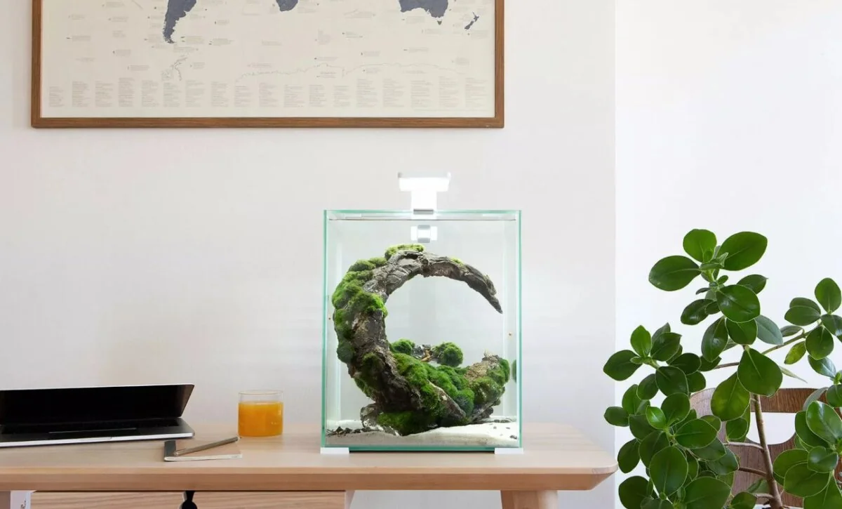 Aquael Acvariu Shrimp Smart Day & Night 20 L Alb