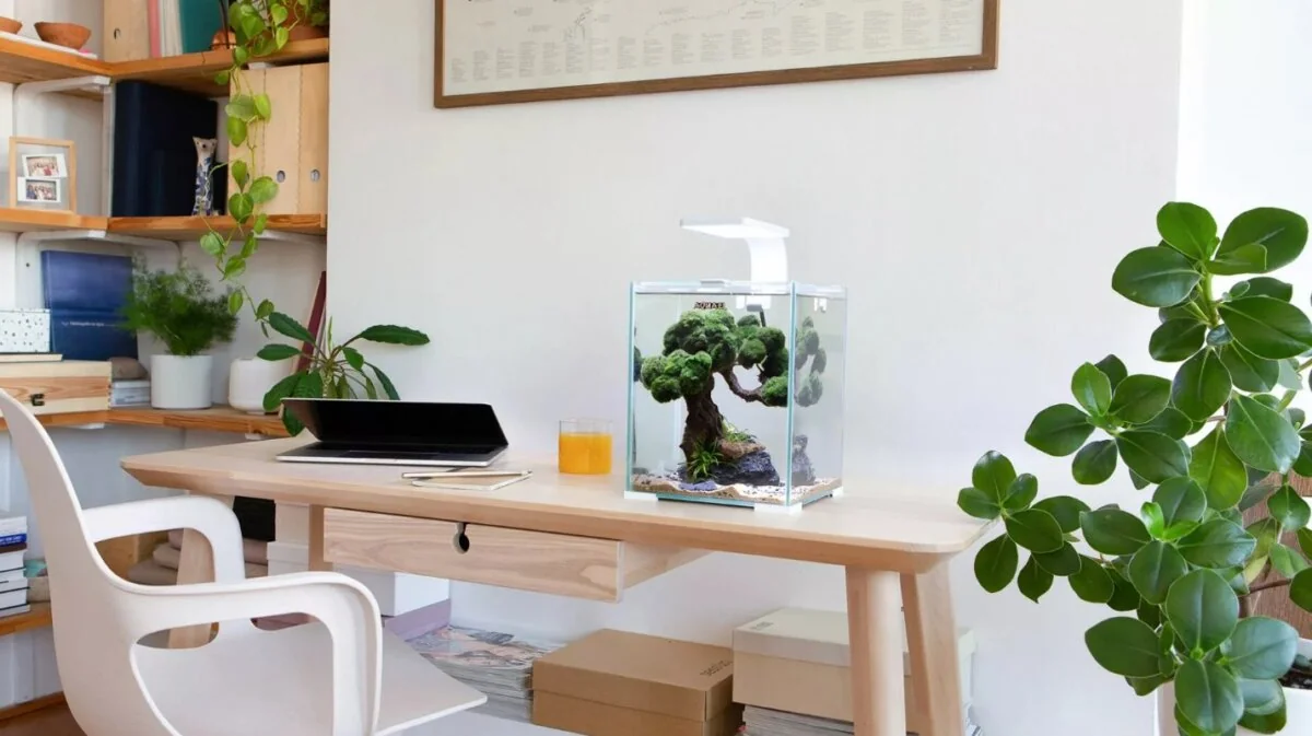 Aquael Acvariu Shrimp Smart Day & Night 20 L Alb