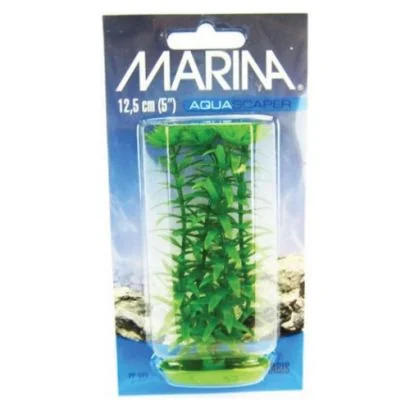 Marina Planta Ambulia 12.5 cm PP502