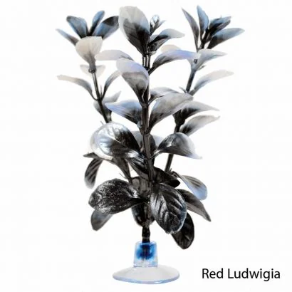 Marina Planta Betta Kit Red Ludwigia 12078