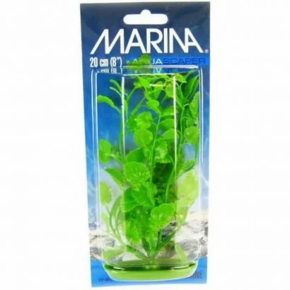 Marina Planta Cardamine 20 cm PP805