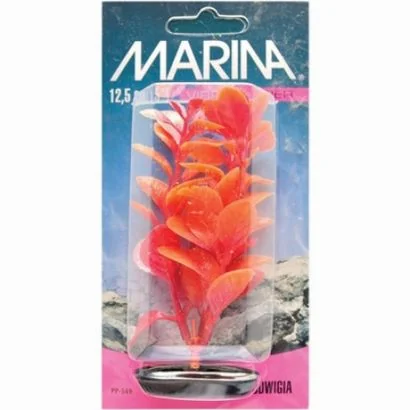 Marina Planta Color Red Ludwigia 12.5 cm PP549