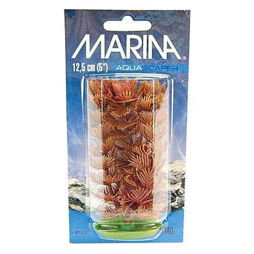 Marina Planta Foxtail 20 cm PP810