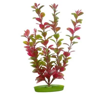 Marina Planta Red LUDW 30 cm PP1219