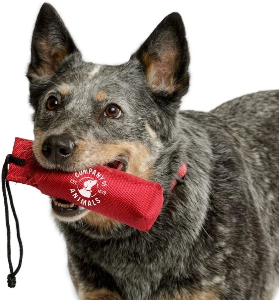 Coa Saculet Antrenament Dummy L 21340A