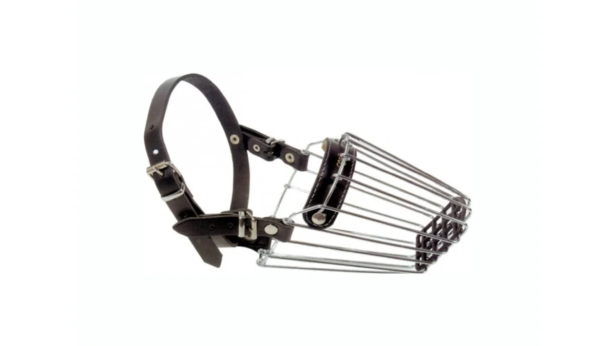 Dingo Botnita Piele Spaniel Mediu Nr 3a