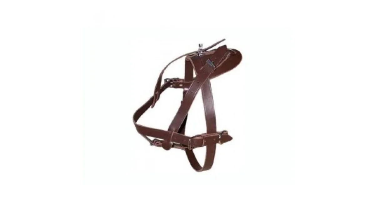 Dingo Ham Sanie Nr 1 Natur