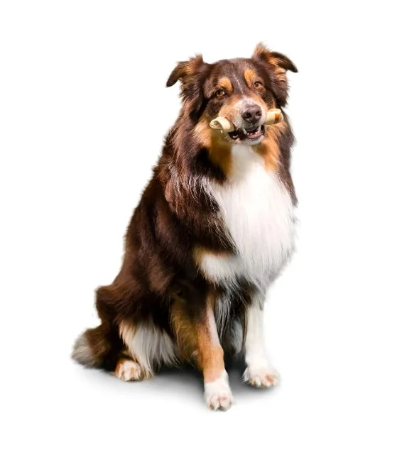 Smartbones Recompense Cartof Dulce M/ 2 Buc 158 g