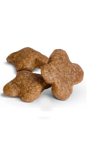 Royal Canin Mini Adult 8 + 1 Kg Gratis