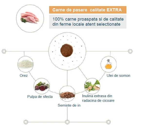 Quattro Cat Adult All Breed 1.5 Kg