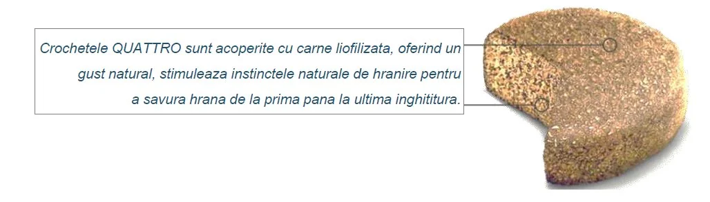 Quattro Dog Adult Miel/Orez All Breed 3 kg