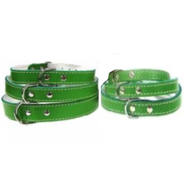 Pet Expert Zgarda Pasla Verde