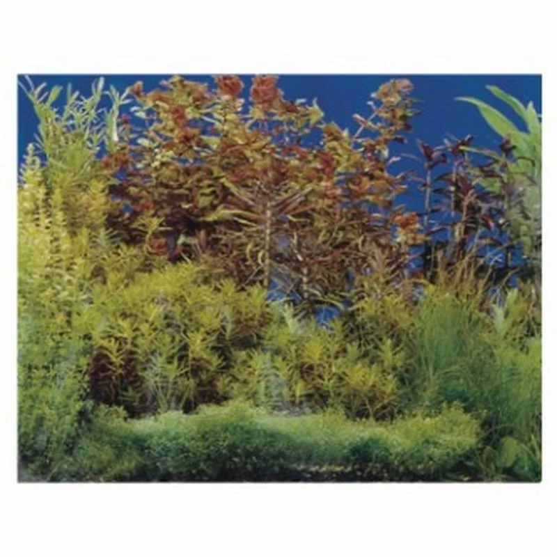 Resun Fundal Acvariu Roca/Plante 60 Cm X 15 m