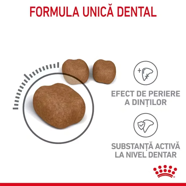 Royal Canin Felin Dental Care 1.5 kg