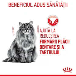 Royal Canin Felin Dental Care 1.5 kg