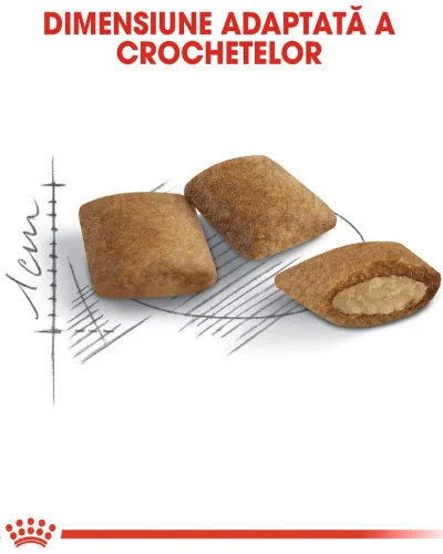 Royal Canin Felin Ageing +12 400 g