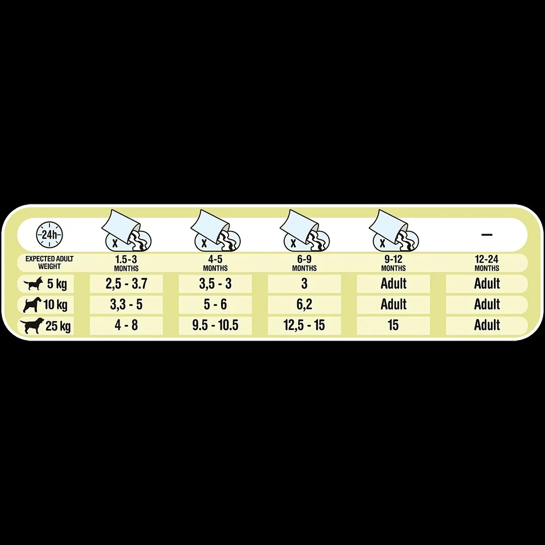 Friskies Dog Junior Plic Pui&Morcov 4x100 g