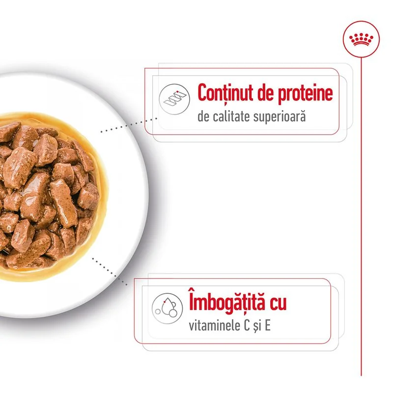 Royal Canin Plic Medium Adult 140 g