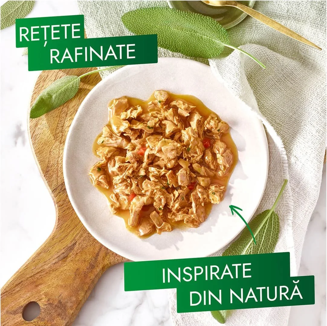 Gourmet Nature`s Creation Pui/Rosii/Spanac 85 g