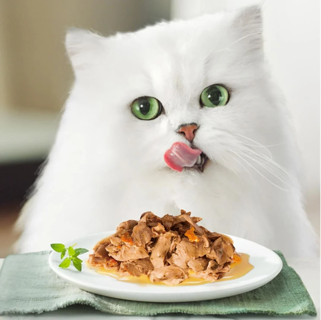 Gourmet Nature`s Creation Pui/Rosii/Spanac 85 g