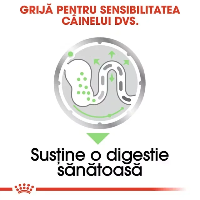 Royal Canin Plic Digestive Care 85 g