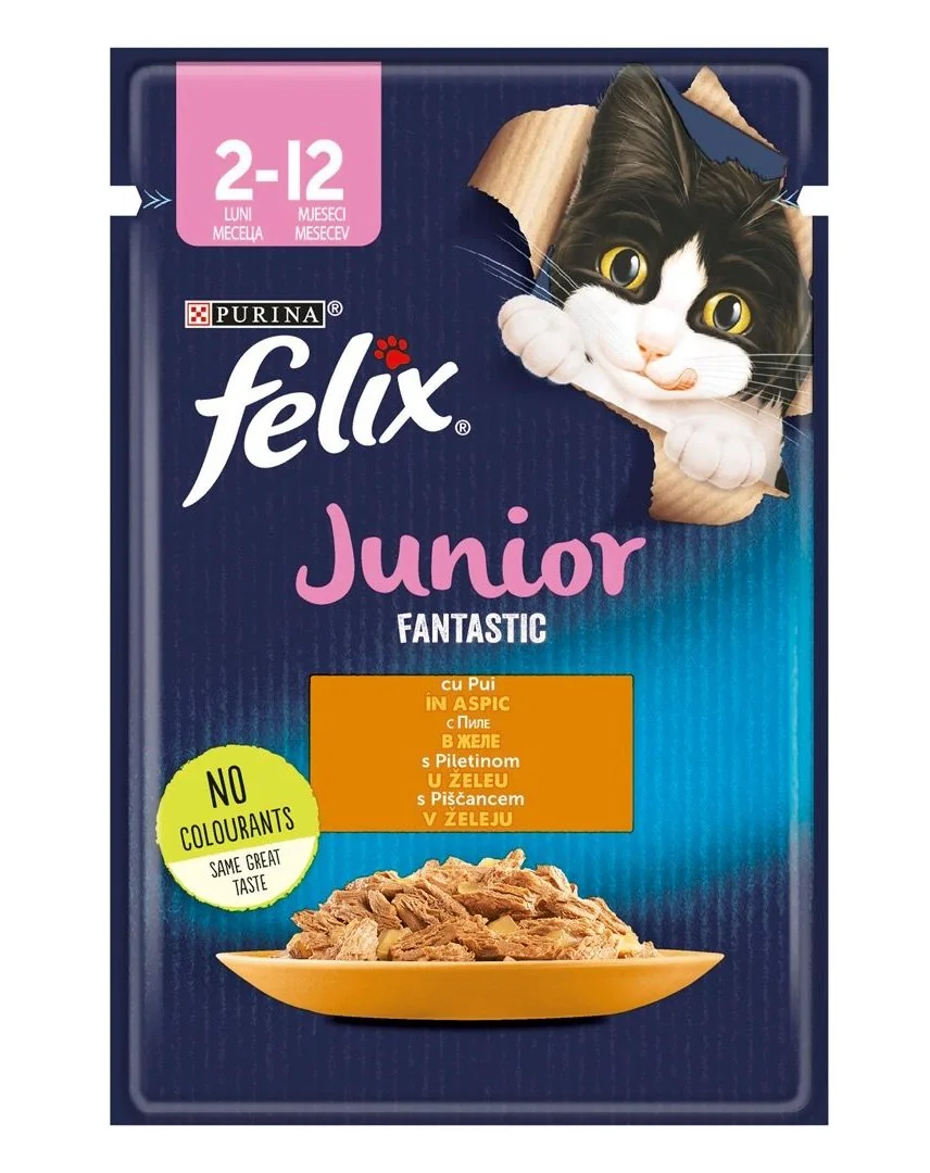 Felix Fantastic Junior Plic Pui 85 g