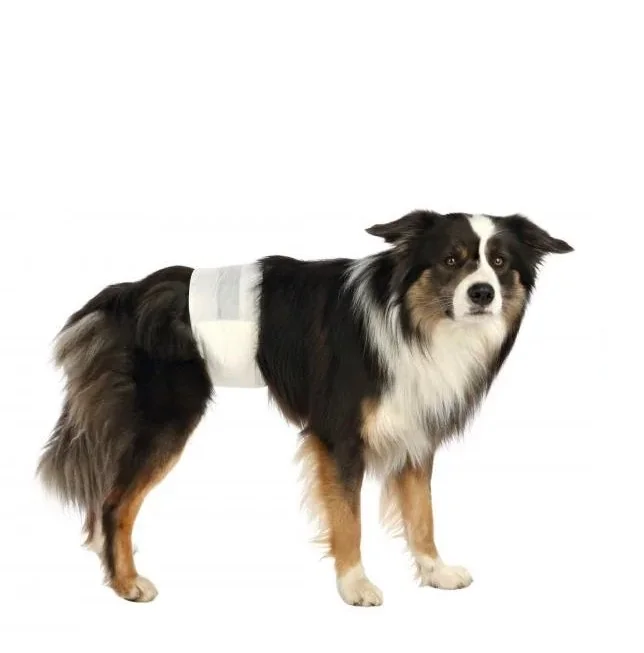 Trixie Scutece L-XL 60-80cm 12 Buc Pentru Masculi