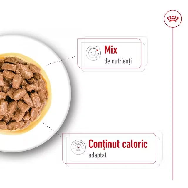 Royal Canin Plic Mini Ageing 85 g