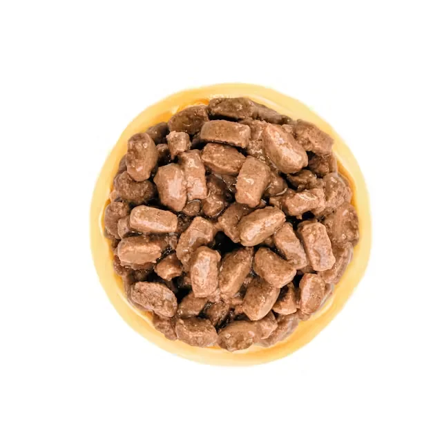 Royal Canin Plic Mini Ageing 85 g