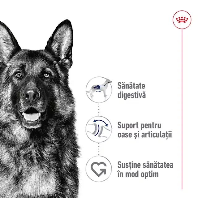 Royal Canin Plic Maxi Adult 140 g