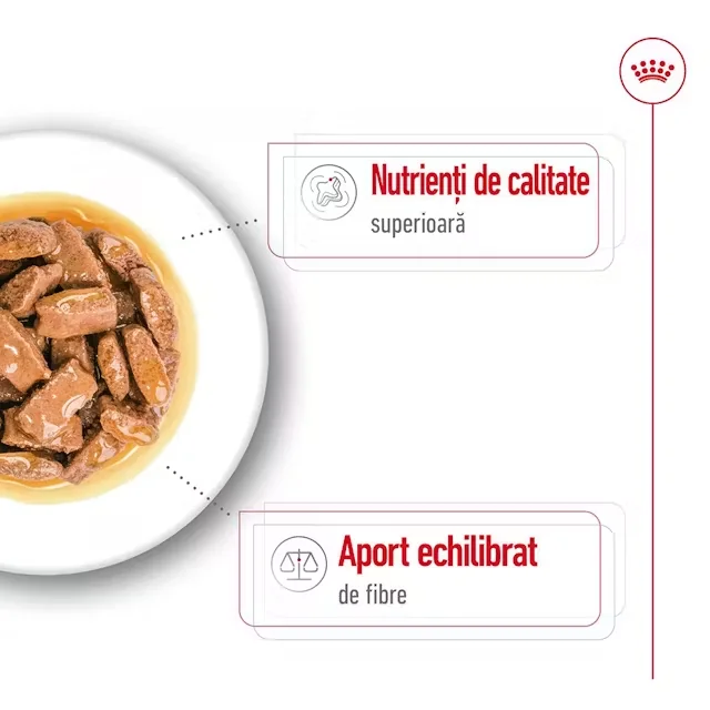 Royal Canin Plic Maxi Adult 140 g