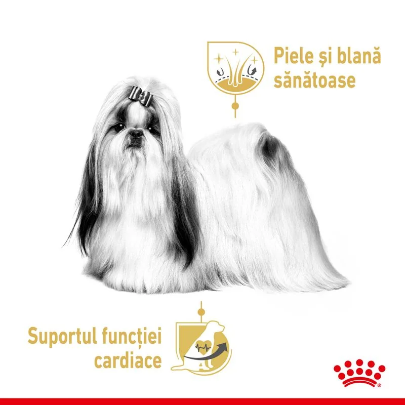 Royal Canin Plic Shih Tzu Loaf 85 g