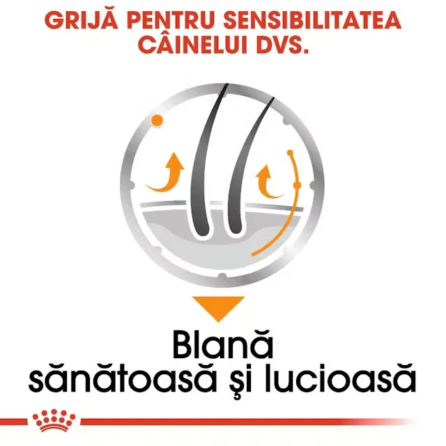 Royal Canin Plic Coat Loaf 85 g