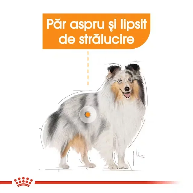Royal Canin Plic Coat Loaf 85 g