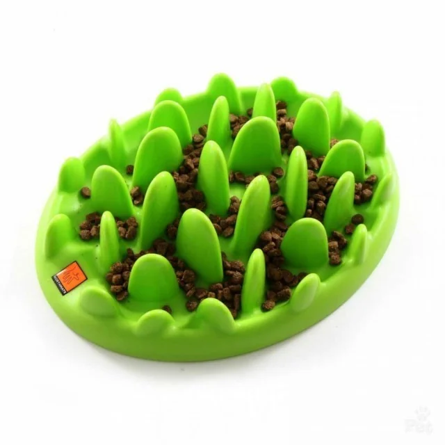 Coa Hranitor Interactiv Caine Green