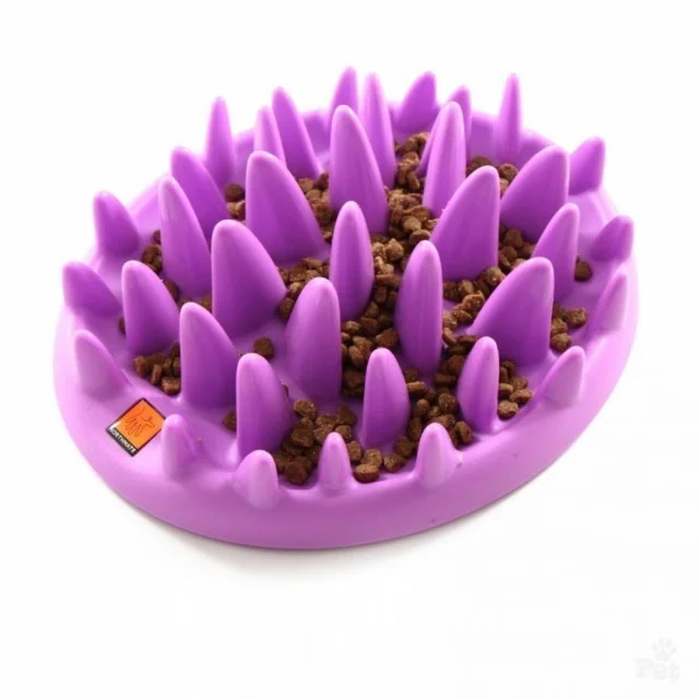 Coa Hranitor Interactiv Pisica Catch