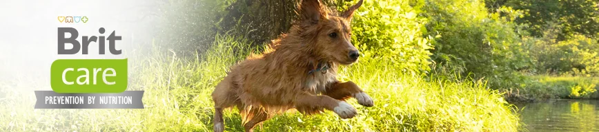 Brit Care Dog Hypoallergenic Weight Loss Iepure