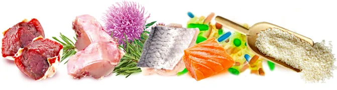 Brit Care Dog Hypoallergenic Weight Loss Iepure