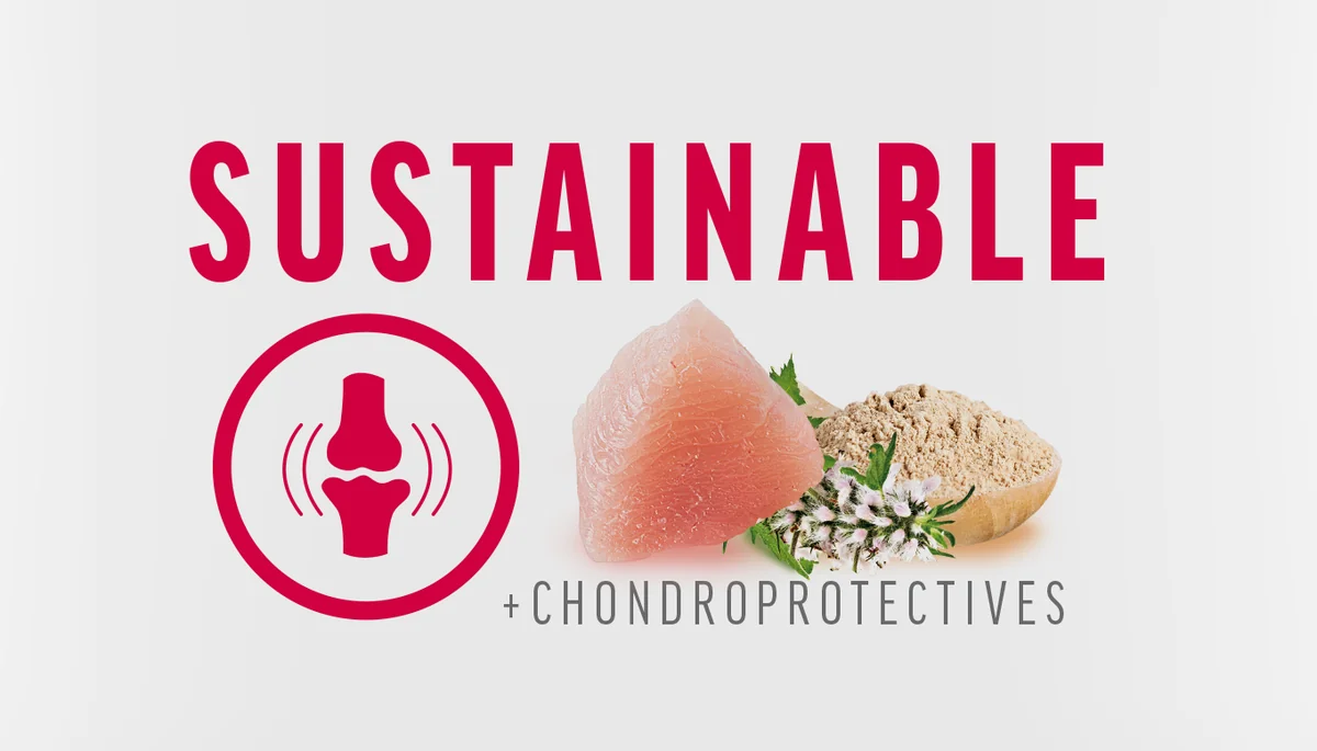 Brit Care Dog Sustainable Activity Pui & Insecte