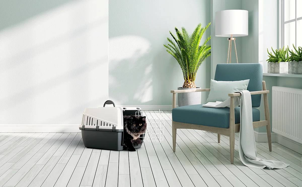 Savic Cusca De Transport Trotter 1 Gri/Antracit