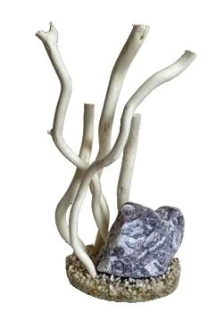 Sydeco Decor Aqua Branch Zebra 24 cm 316197