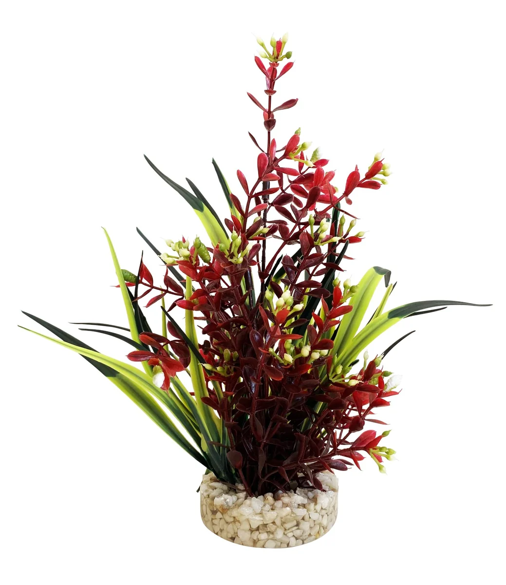 Sydeco Planta Flowering 24 cm 349601
