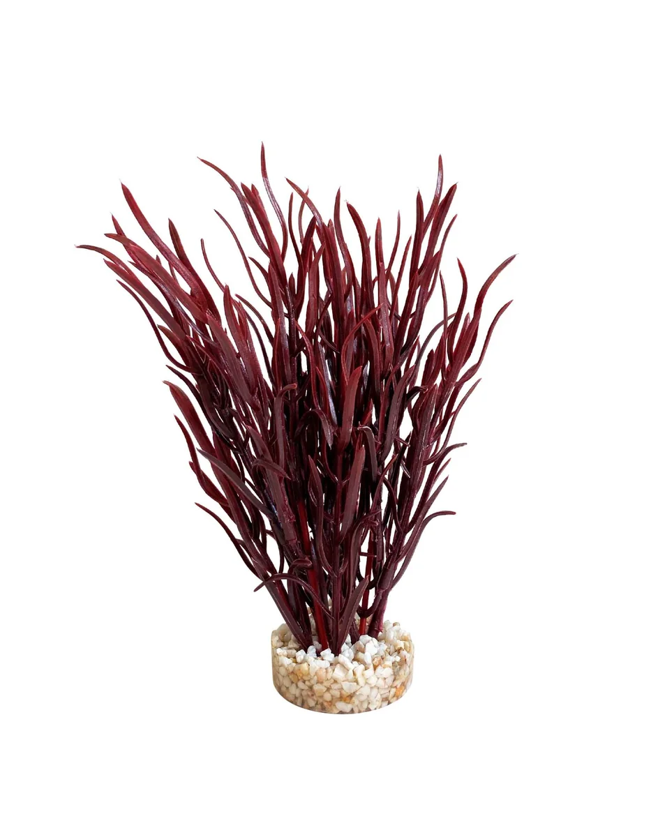 Sydeco Planta Sea Grass Medium 18 cm 349613