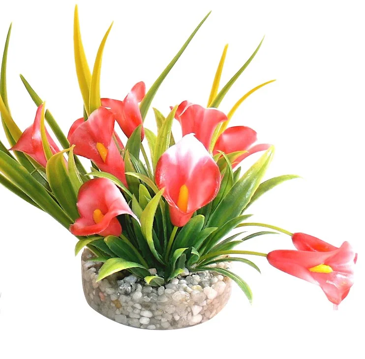 Sydeco Planta Cala Lily 9 cm 349616