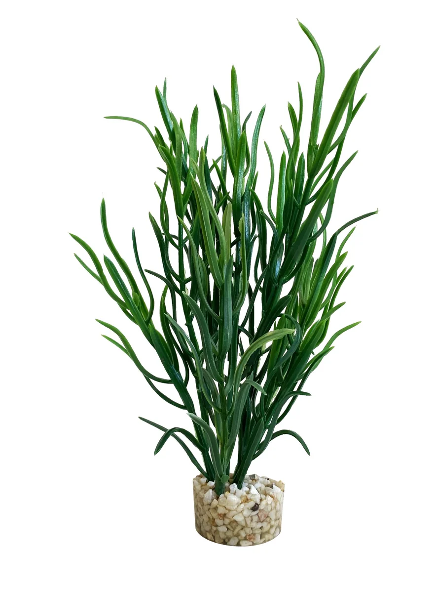 Sydeco Planta Sea Grass Baby 16 cm 349646