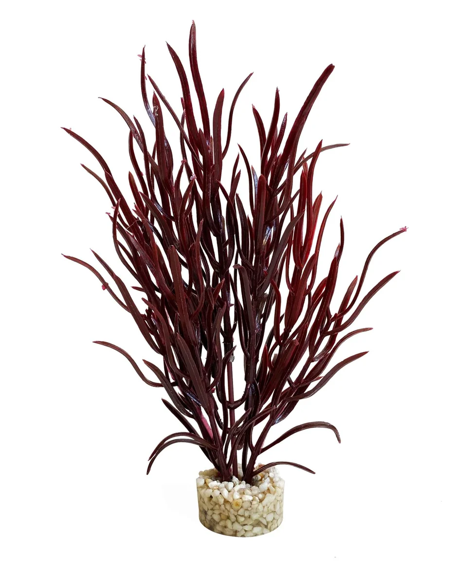 Sydeco Planta Sea Grass Baby 16 cm 349646