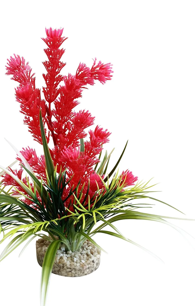 Sydeco Planta AquaPlant Medium 21 cm349701